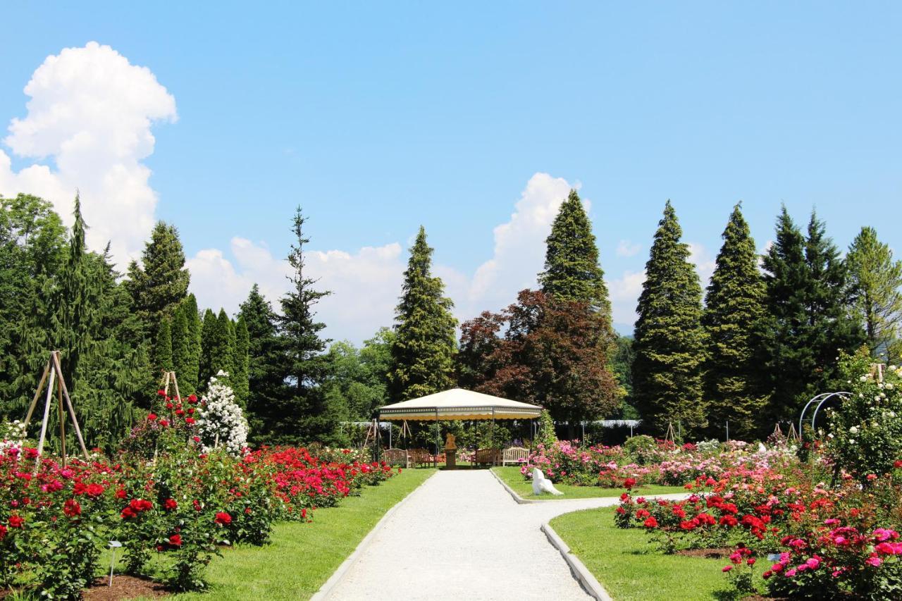 Hotel Md Kamnik Bagian luar foto