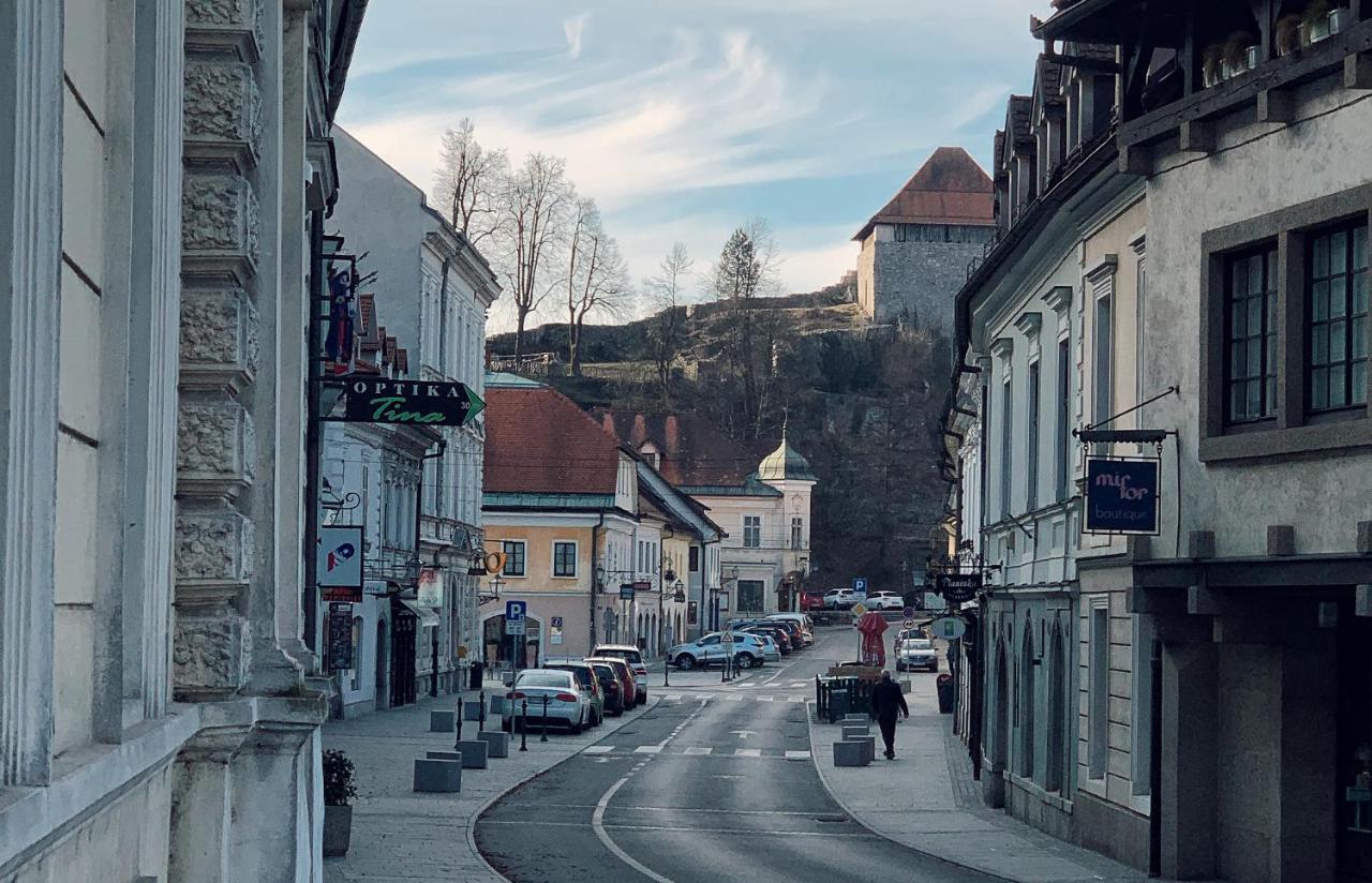 Hotel Md Kamnik Bagian luar foto